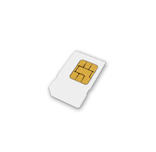 Cartão de identificação VEGA