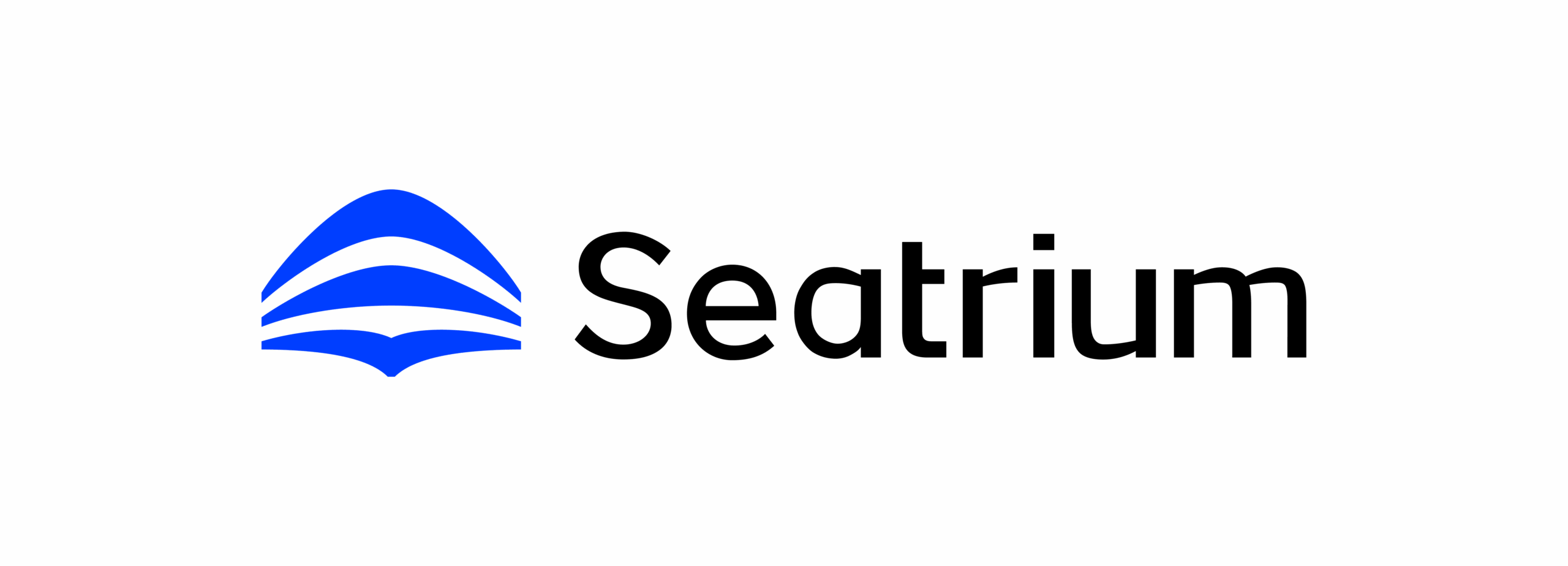 logo_blue